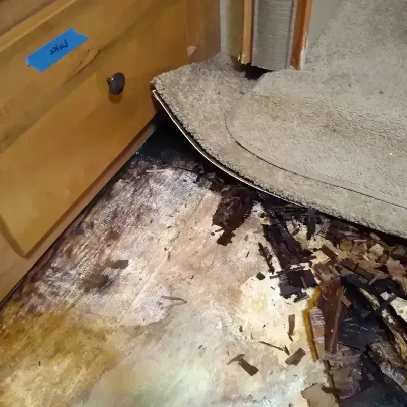 Wood Floor Water Damage in Ouachita County, AR